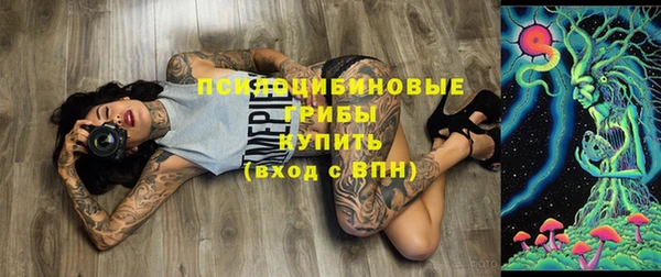 герыч Зерноград