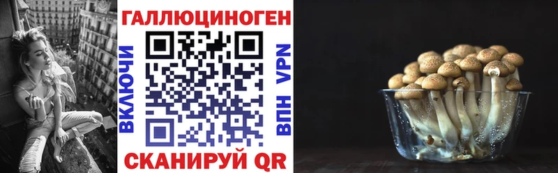 Купить  Волоколамск  Псилоцибиновые грибы мицелий 